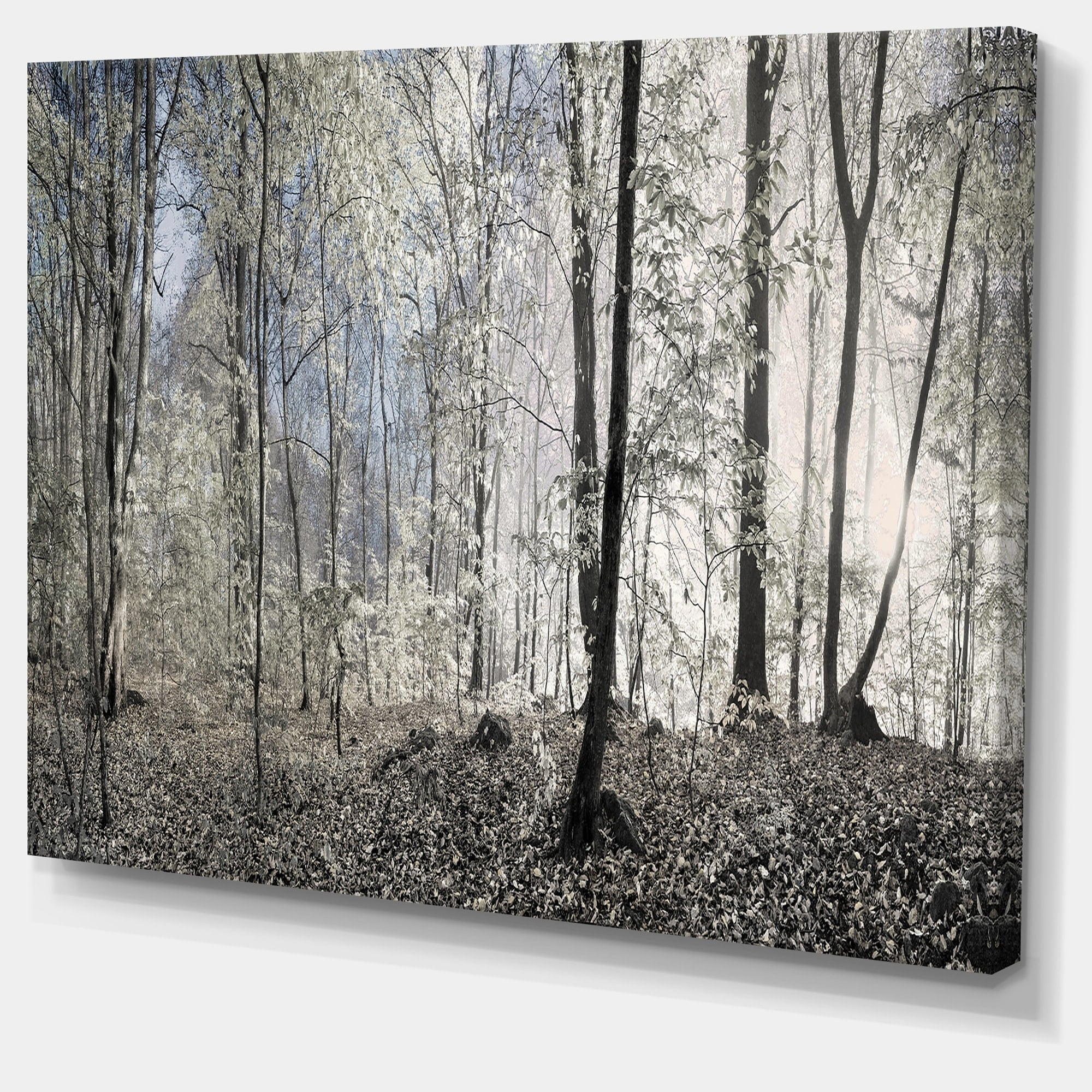 Designart 'Dark Morning in Forest Panorama ' Landscape Canvas Art Print