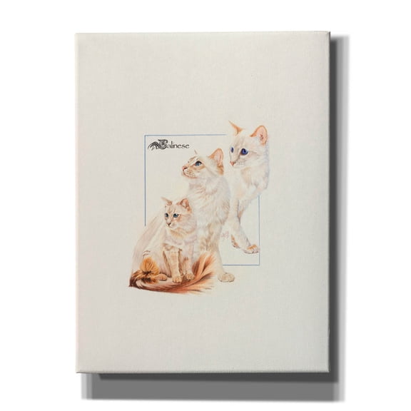 Epic Graffiti 'Balinese' by Barbara Keith, Canvas Wall Art, 12"x16"