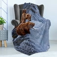 thumbnail image 4 of Africa Soft Flannel Fleece Throw Blanket, Grizzly Bears Fishing in the River Waterfalls Cascade in Alaska Nature Camp View, Cozy Plush for Indoor and Outdoor Use, 70" x 90", Brown White, by Ambesonne, 4 of 5
