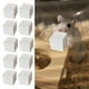 thumbnail image 3 of 10 Uds. De Dientes Cuadrados De Piedra, Juguete Para Masticar, Conejillos De Indias, Piedra Para Masticar Mascotas, Juguete De 3cm Sunnimix piedra mastica piedra, 3 of 8