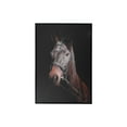 thumbnail image 1 of Framed Canvas Wall Art Horse, 1 of 3