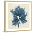 thumbnail image 2 of Marmont Hill "Coastal Seaweed V" Framed Painting Print, 2 of 5