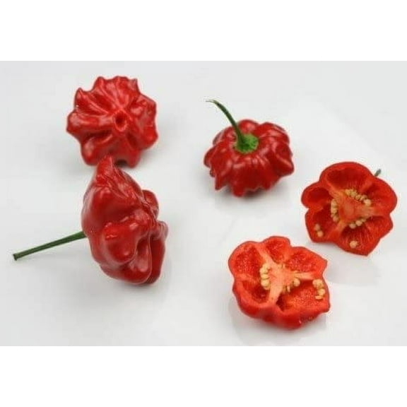 Aji Brazilian Starfish Hot Pepper Premium Seeds Packet