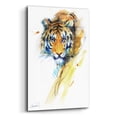 thumbnail image 2 of Epic Art 'Tiger Strokes' by Robert Campbell, Acrylic Glass Wall Art, 16"x24", 2 of 8