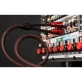 thumbnail image 4 of Cable de audio RCA AudioQuest Golden Gate, par estéreo de 3 m, 4 of 5