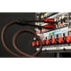 thumbnail image 5 of Cable de Interconexión de Audio AudioQuest Golden Gate 3.5mm a RCA, 5 of 5