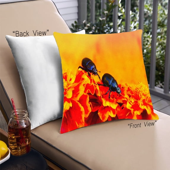 Ahgly Company Insects Beetle Outdoor Throw Pillow, 18 inch by 18 inch