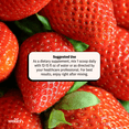 thumbnail image 5 of Wellah Electrolytes Powder (Strawberry Pina Colada) 50 Servings - Hydration Drink Mix, 7 Vitamins & Minerals, Zero Sugar, 5 of 8