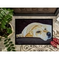 thumbnail image 3 of Carolines Treasures AMB1072JMAT Tapis d'Intérieur Ou d'Extérieur Yellow Labrador - 24 x 36, 3 of 4