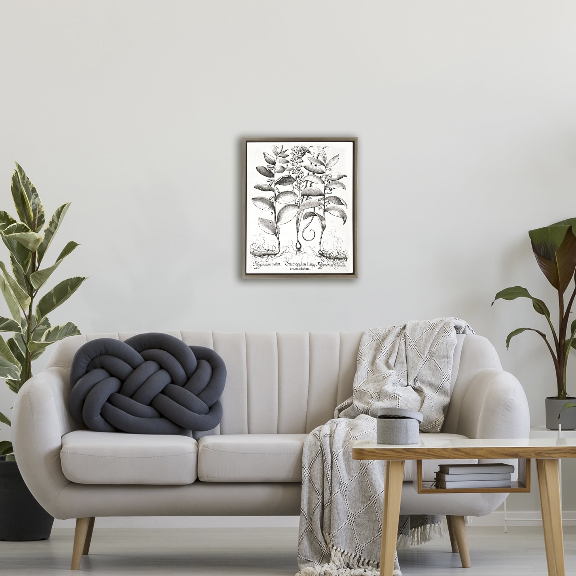 Vintage Botanical Root Study Brown Framed Floater Canvas Wall Art, design by Lettered and Lined