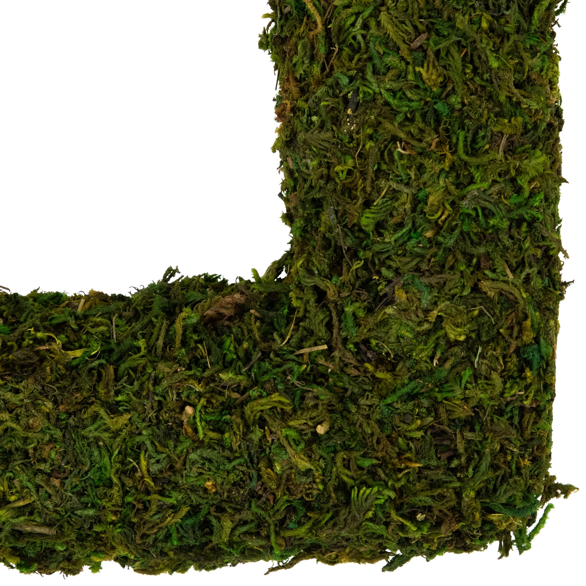 Northlight Floral Foam Wreath, 14" (Green)