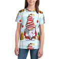 thumbnail image 2 of Fuzoiu Funny Christmas Gnome Print Youth Short Sleeve T-Shirt,Youth Dry-Fit Active Athletic T-Shirt,Short Sleeve Tops Tees for School, Sports, and Casual Wear, 2 of 6