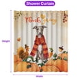 thumbnail image 5 of Happy Thanksgiving Italian Greyhound with Turkey Pumpkins Autumn Vibes Shower Curtain Greyhound Dog Lover Waterproof Bathroom Bathtub Curtain - 12018, 5 of 5