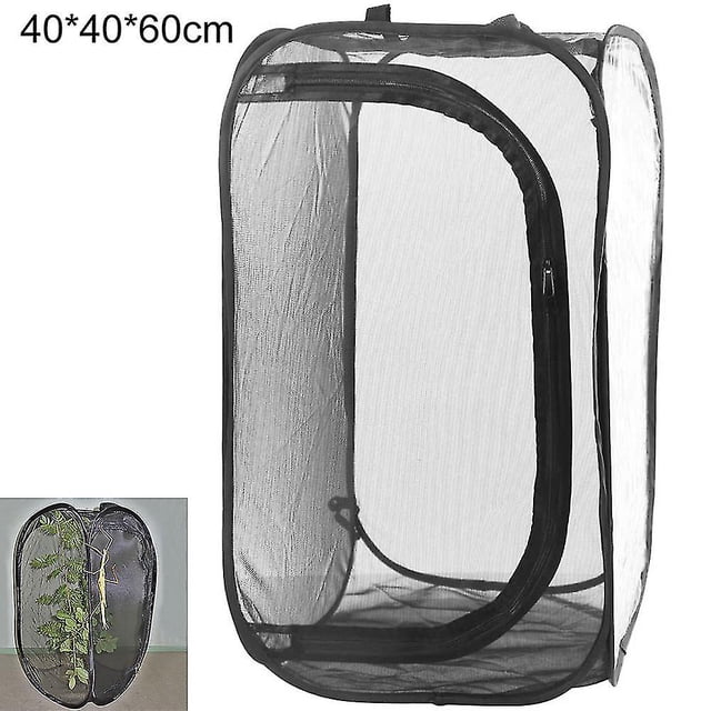 Red de malla portátil para insectos y mariposas, jaula para hábitat de insectos y monarcas oso de fresa Electrónica
