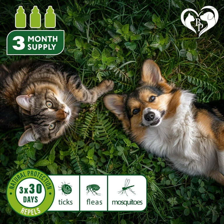 Flea and Tick Prevention for Small Dogs Cats Rabbits Natural Flea Treatment Pest Control Topical Flea Mosquito Repellent for Puppy and Kitten All Pets Walmart