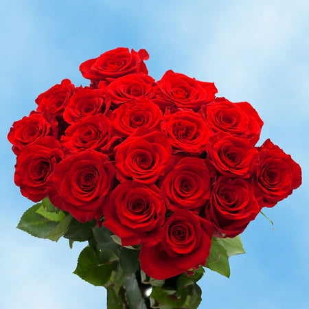 GlobalRose 50 Red Roses - Beautiful Fresh Flowers- Next Day Delivery