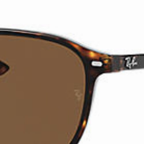 Black/Brown Polarized