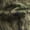 Tree Camo, variant on Boys Cargo Track Pants, Sizes 4-18