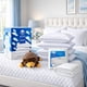 thumbnail image 2 of Blancos Spring Air, 4 pack Almohadas Cozy + Protector Essence King Size + Oso Peluche, 2 of 6