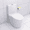 White, variant on Netrum Small Compact One Piece Toilet,Dual Flush Toilet 0.8/1.6 GPF Water Saving,Modern Porcelain Toilet Comfort Seat Height (Seat Included),White