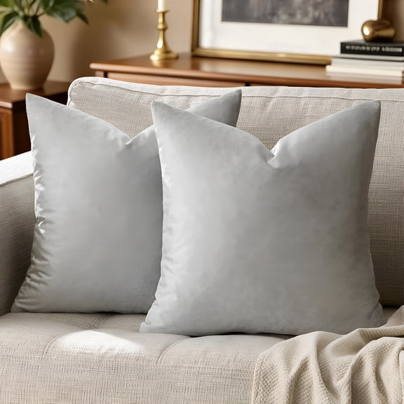 ARLAJO Silver Grey Velvet Pillow Covers 18X18 Pack of 2 Square Throw Pillow Covers Modern Decorative Pillows for Living Room Couch Luxury Small Pillow Cases