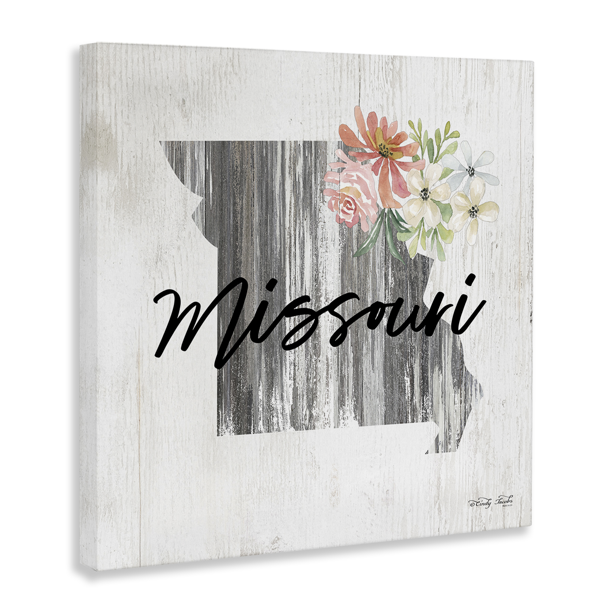 Stupell Industries Shabby Chic Missouri Botanical & Floral Painting Gallery Wrapped Canvas Art Print Wall Art, 30 x 30