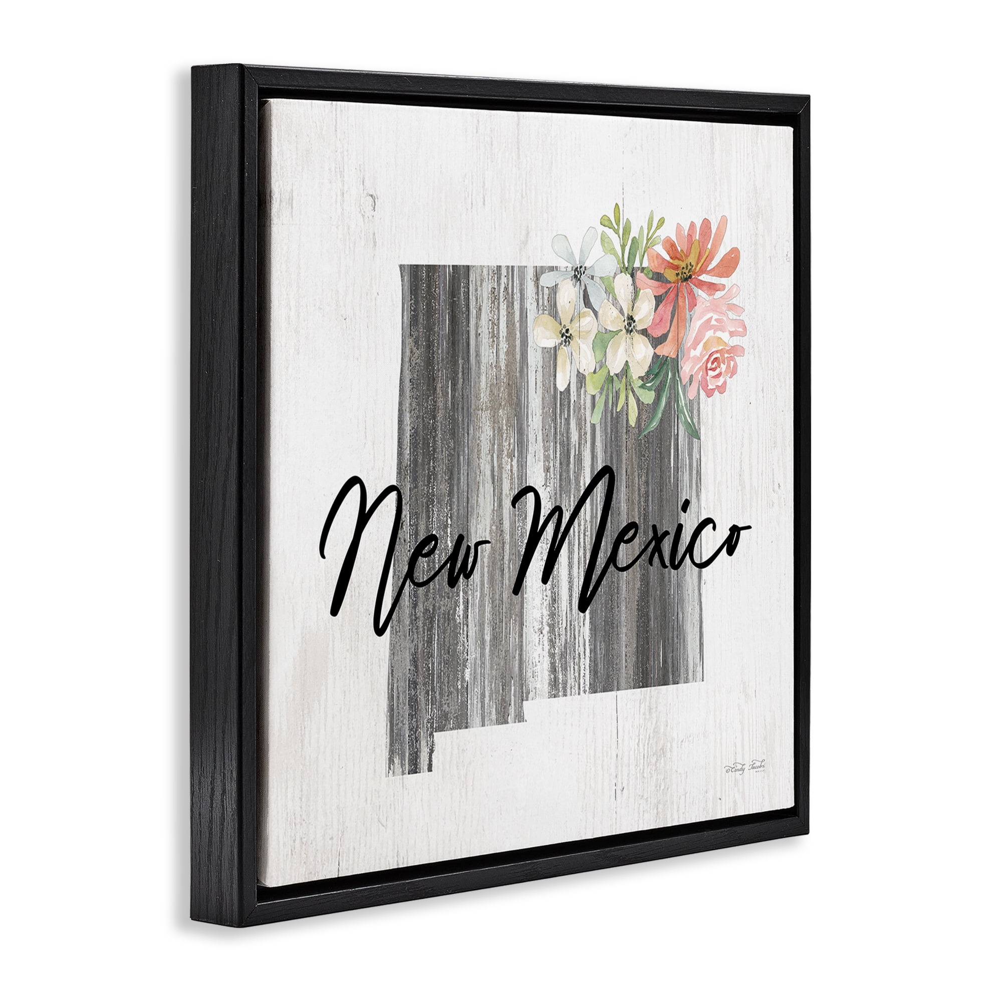 Stupell Industries Shabby Chic New Mexico Botanical & Floral Painting Black Floater Framed Canvas Art Print Wall Art, 25 x 25