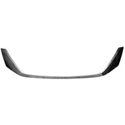 toyota sienna grille molding