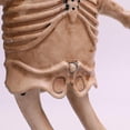 thumbnail image 4 of Halloween Skeleton Animation Props Indoor & Outdoor Dancing Skeleton Halloween Skeleton Decoration L, 4 of 4
