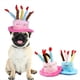 thumbnail image 5 of Bonitas Mascotas, Perros, Gatos, Gorros de Cumpleaños, Velas Coloridas Ajustables, Sombrero para Perros, Cachorros, Gatos, Disfraz de Cosplay, Tocado Azul, 5 of 5