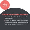 thumbnail image 7 of Allergy Research Group Homocysteine Plus Supplement - with Setria Glutathione, Vitamin B Complex, Trimethylglycine, Vegetarian Capsules - 90 Count, 7 of 7