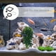 thumbnail image 4 of BESTYASH 3Ud Anillos Portátiles Para Alimentación De Peces En Acuario Material Resistente Y, 4 of 8