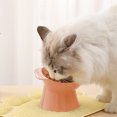 thumbnail image 2 of OAVQHLG3B Plastic Raised Bowl Tilted Elevated Cat Food and Water Bowls Set Anti Vomit Dog Kitten Food Dishes Pet for Cats and Small Dogs, 2 of 7