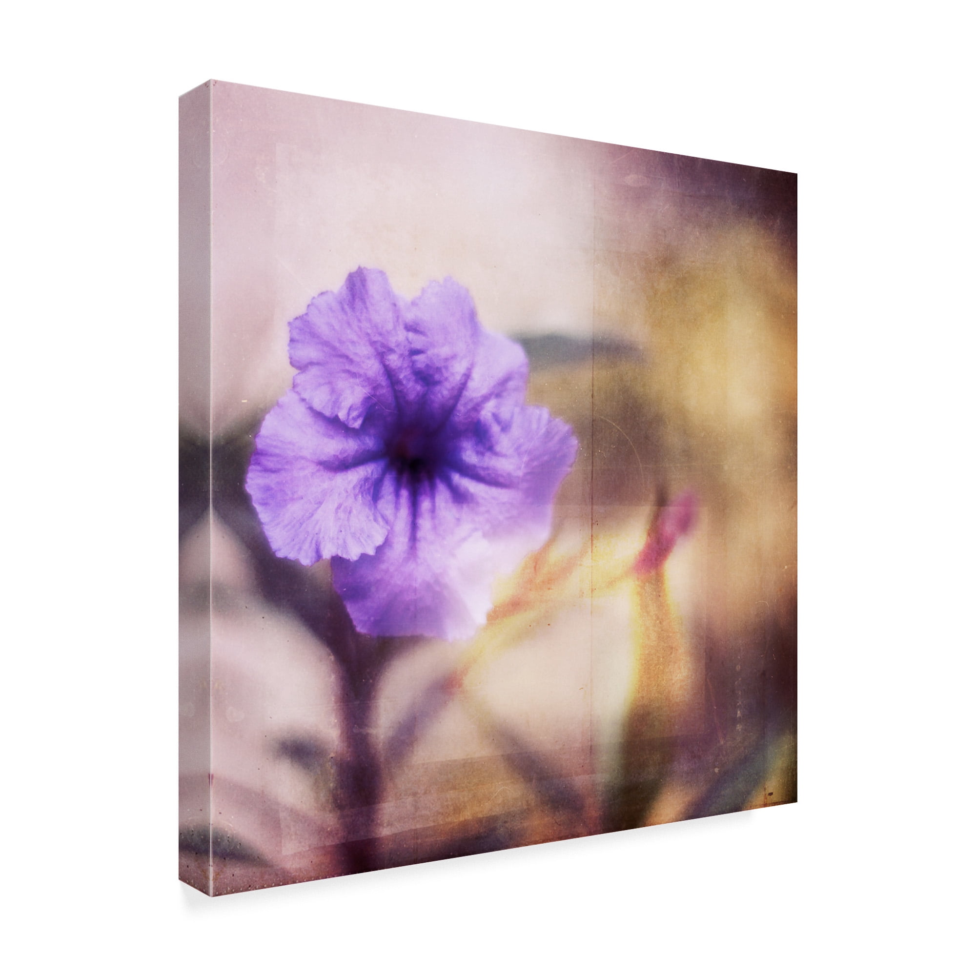 Trademark Fine Art 'Purple Tranquility I' Canvas Art by Emily Robinson