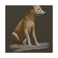 thumbnail image 4 of "Dingo in Minimalism" - Canvas, 4 of 25