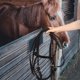 thumbnail image 3 of Cabestro de cuerda de nailon para caballos, cómodo diseño antimordida, brida de entrenamiento, brida sin bocado para entrenamiento y equitación, 3 of 8