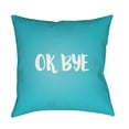 thumbnail image 1 of Surya Ok Bye 20" x 20" Medium Square Throw Pillow QTE057-2020, 1 of 2