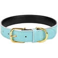 thumbnail image 1 of Basic Classic Padded Leather Pet Collars for Cats Puppy Small Medium Dogs - Blue, 1 of 3