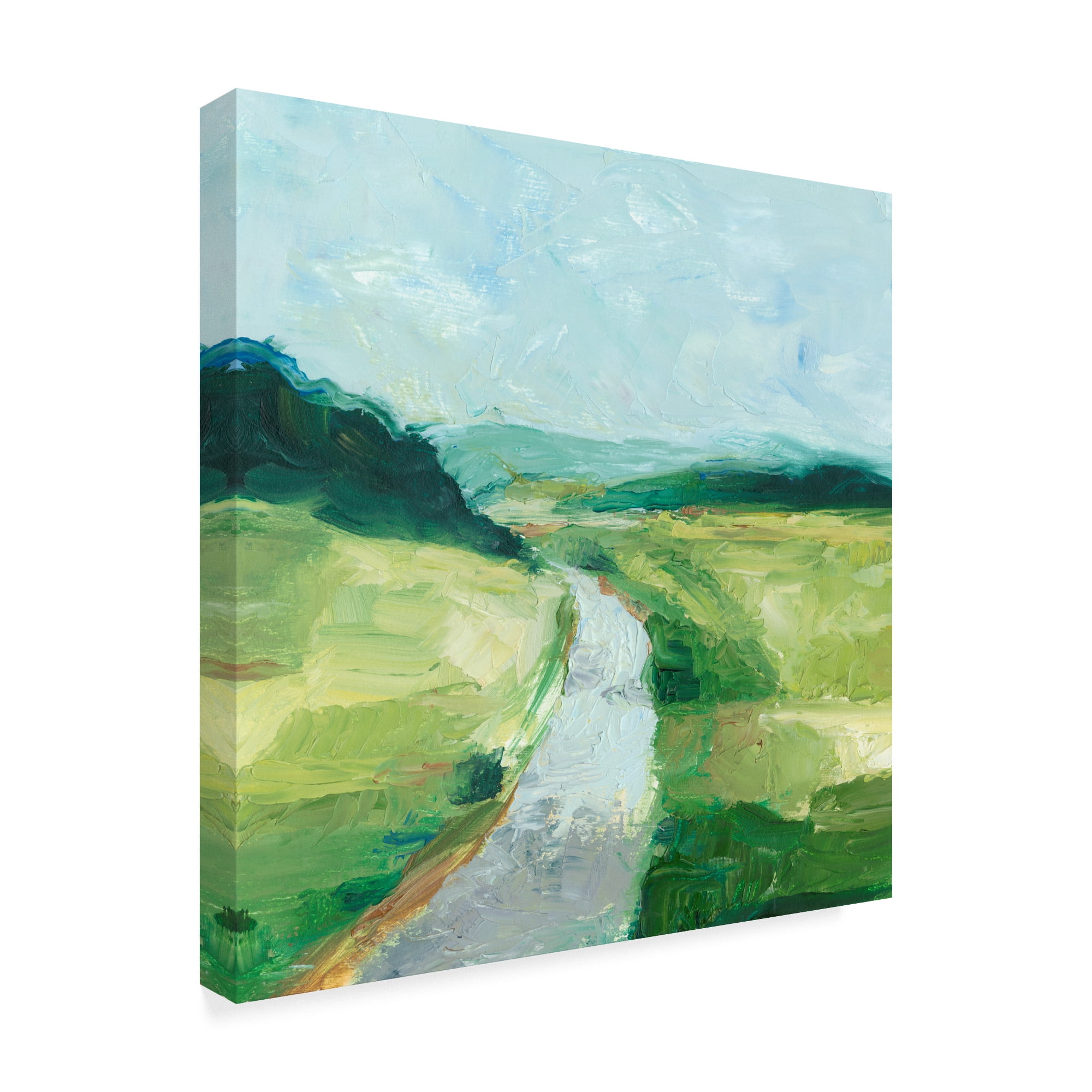 Trademark Fine Art 'Rural Path II' Canvas Art by Ethan Harper