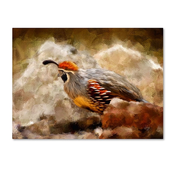 Trademark Fine Art "Hurrying Quail" Canvas Art by Lois Bryan