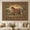 A, variant on XaaKee Tapestry Wall Hanging, Grand Classical Mural Design Wall Tapestry, High-Quality Polyester Room Tapestry, For Living Room Bedroom Decor, 60x40Inch