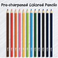 thumbnail image 3 of Lápices de colores Darice Bulk, 288 unidades, 12 colores, preafilados, 3 of 7