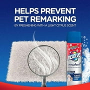 Resolve Pet High Traffic Carpet Stain Cleaner Solution and Odor Remover Foam, 22oz