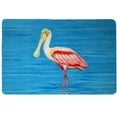 thumbnail image 1 of Betsy Drake DM549G 30 x 50 in. Dicks Spoonbill Door Mat, 1 of 1