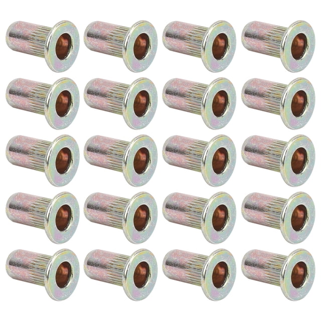 Écrous à Rivets, 100 Pcs Kit d'Assortiment d'Écrous à Rivets Kit d'Assortiment d'Écrous à Rivets Couleur Tête Plate Plaquée Zinc Kit d'Écrous Filetés Accessoires de Quincaillerie
