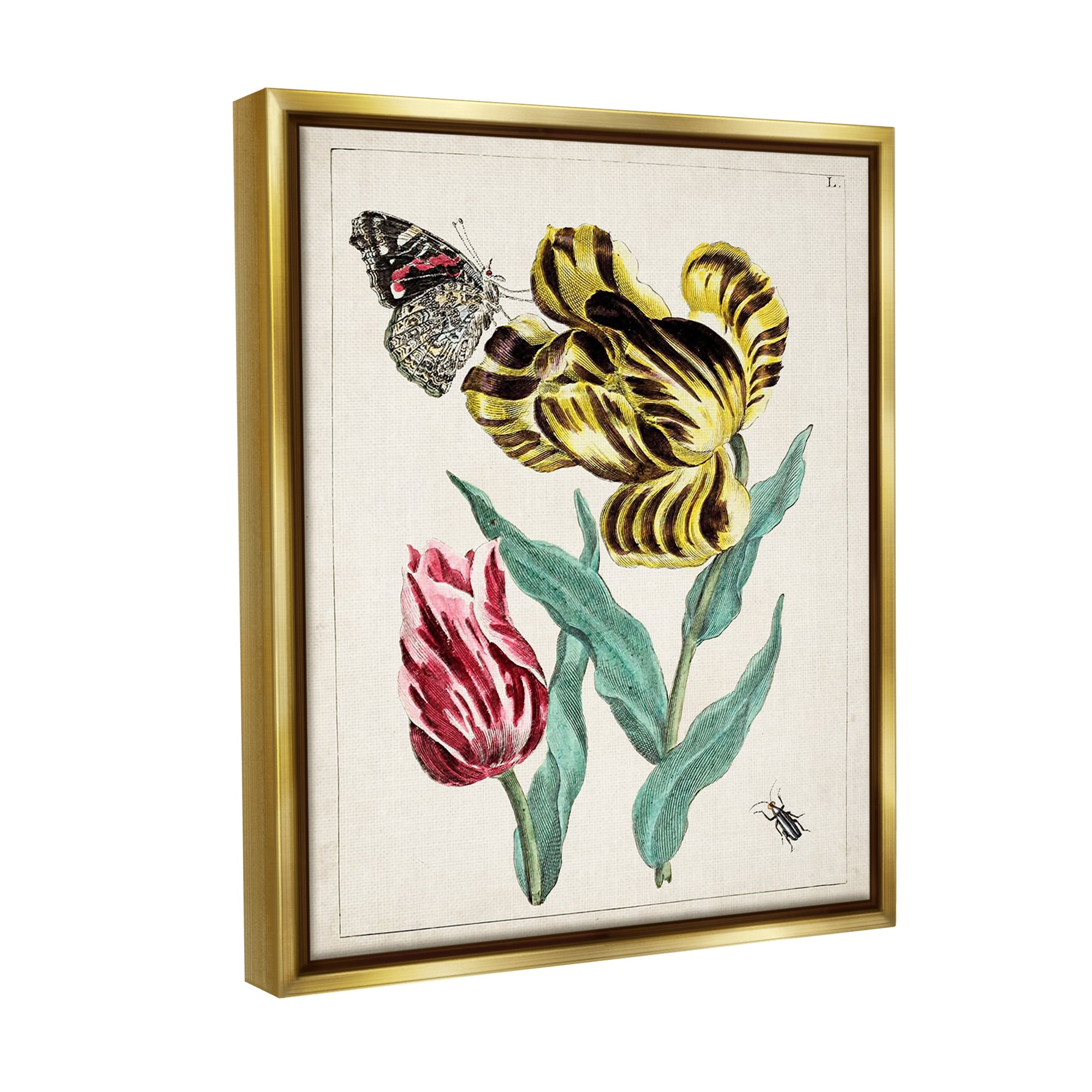 Stupell Industries Vintage Nature & Bugs Botanical & Floral Painting Gold Floater Framed Canvas Art Print Wall Art, 17 x 21