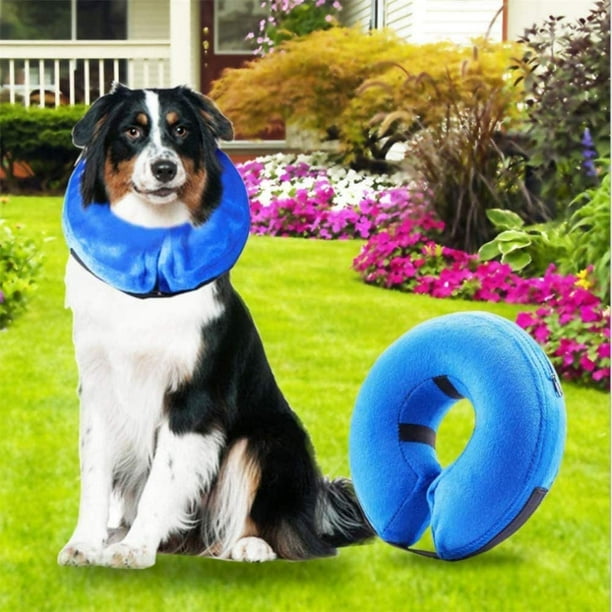 Pet E Collars Cone Inflatable Dog Collar Inflatable Dog Collars