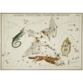 thumbnail image 2 of Hall, Sidney 32x23 White Modern Wood Framed Museum Art Print Titled - Astronomical chart illustration of the Lacerta-Cygnus-Lyra-Vulpecula and the Anser, 2 of 4