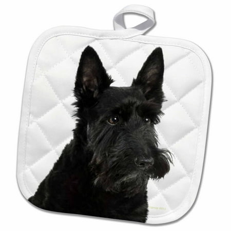 

3dRose Scottish terrier - Pot Holder 8 by 8-inch
