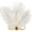 White, variant on Uooqdmx Flapper Headband Feather Headband 1920s Accessories for Women Flapper Headpiece Flapper Accessories for Women 1920s Headband Hair Accessories for Women Black One Size